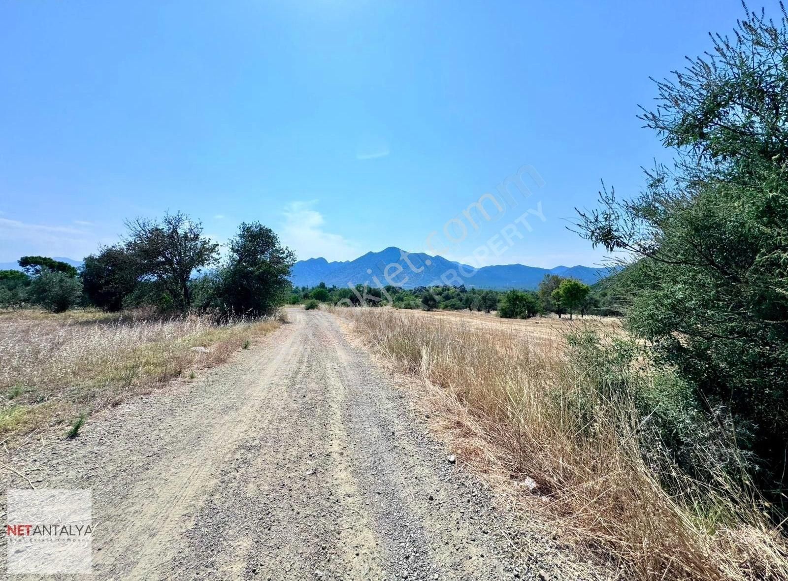 Döşemealtı Killik'te Tek Tapu 1258 M² Satılık Arazi │net Antalya - Görsel 6