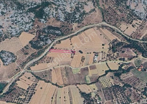 Döşemealtı Karaveliler'de Yol Cepheli Satılık Arazi