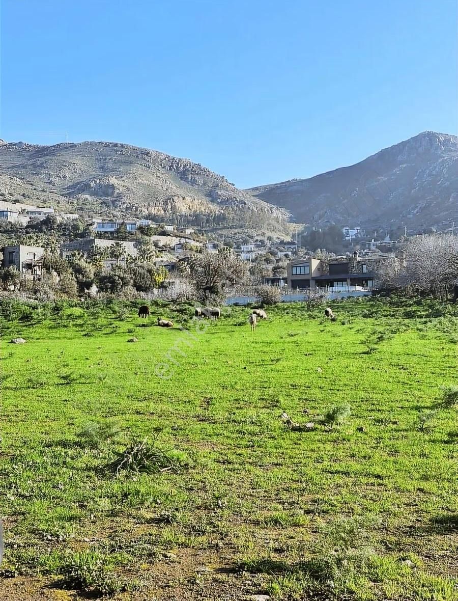 Gümüşlük Yatırımlık Arsa - Görsel 2