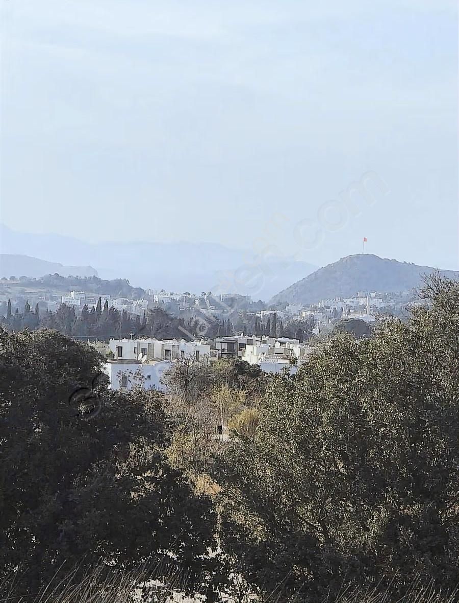 Gümüşlük Yatırımlık Arsa - Görsel 3