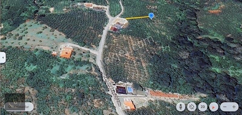 Uzunalioğlun'dan Tek Tapu Fındık Bahçesi Müstakil Parsel Fırsat - Görsel 22