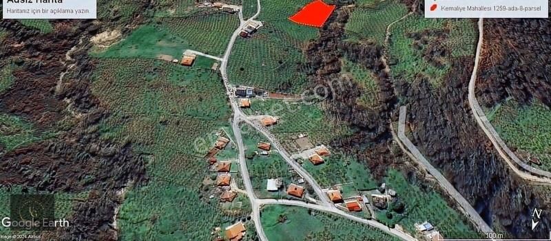 Uzunalioğlun'dan Tek Tapu Fındık Bahçesi Müstakil Parsel Fırsat - Görsel 4