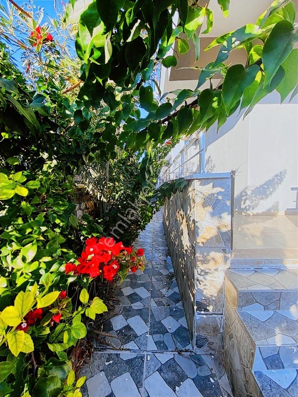 Didimde Satılık 3+1 Özel Havuzlu Çok Geniş Teras Ön Cephe Villa - Görsel 8