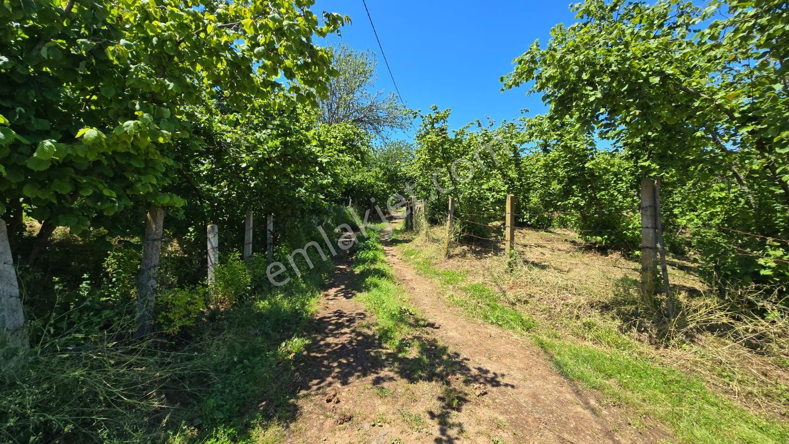 Alanderede Deniz Manzaralı Arsa - Görsel 9