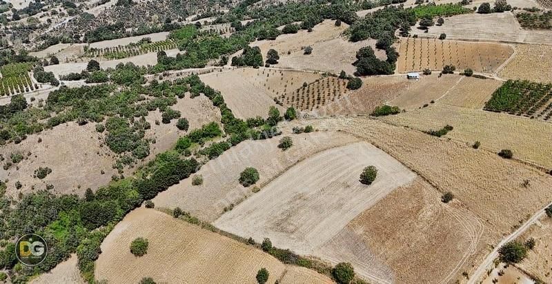 Bursa İnegöl 7,5 Dönüm Tek Tapu Köye 300 M Tarla - Görsel 10
