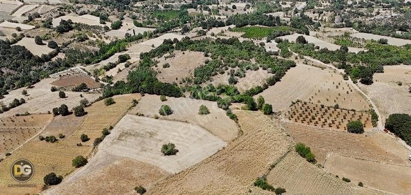 Bursa İnegöl 7,5 Dönüm Tek Tapu Köye 300 M Tarla - Görsel 7