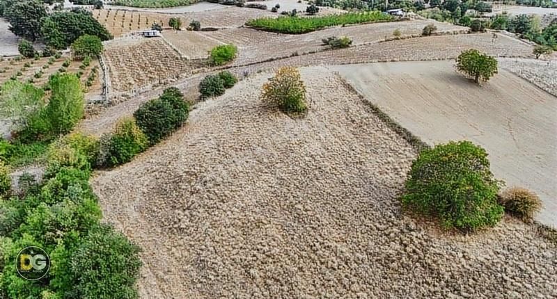 Bursa İnegöl 7,5 Dönüm Tek Tapu Köye 300 M Tarla - Görsel 4