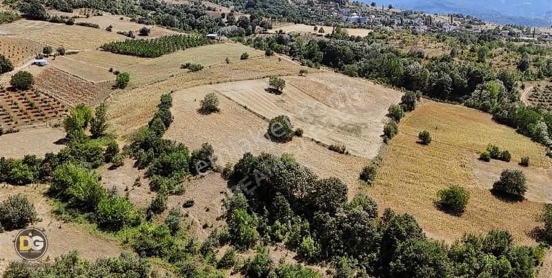 Bursa İnegöl 7,5 Dönüm Tek Tapu Köye 300 M Tarla - Görsel 5