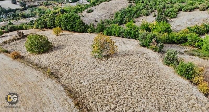 Bursa İnegöl 7,5 Dönüm Tek Tapu Köye 300 M Tarla - Görsel 6