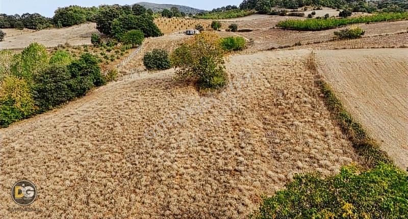 Bursa İnegöl 7,5 Dönüm Tek Tapu Köye 300 M Tarla