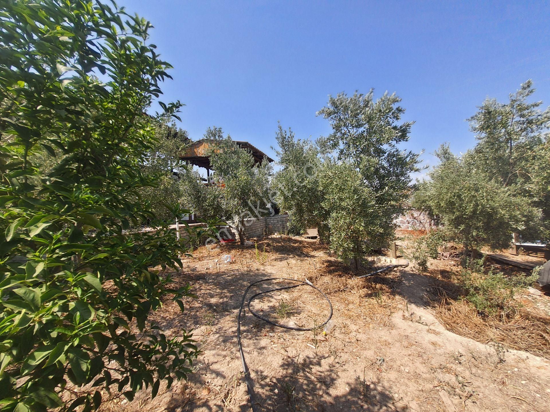 Menemen Maltepe'de Villa İmarlı 907 M2 Köşe Parsel Satılık Arsa - Görsel 22