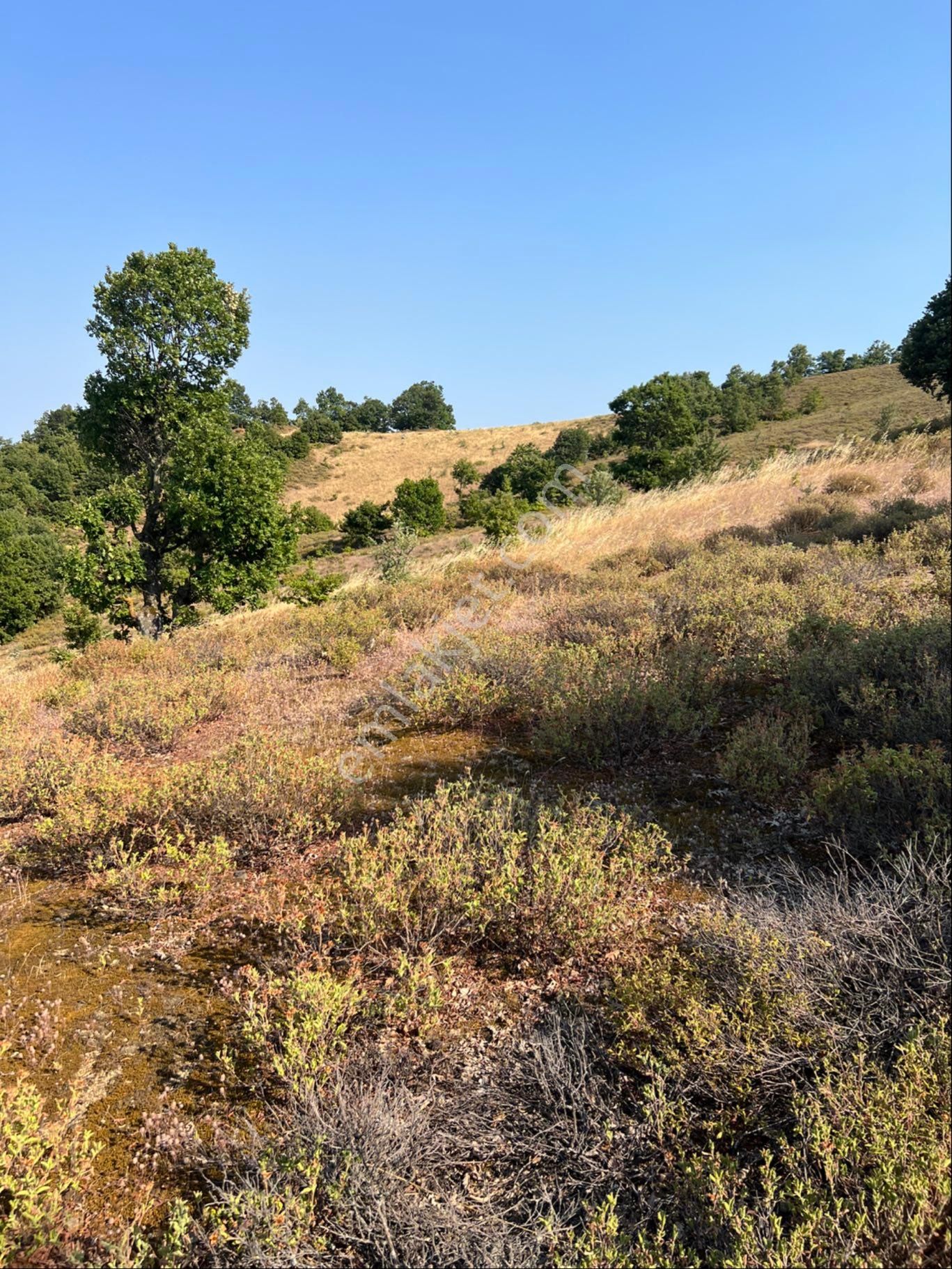 Çanakkale Biga Ilıcabaşı Köyü Satılık 3 Adet Tarla - Görsel 3
