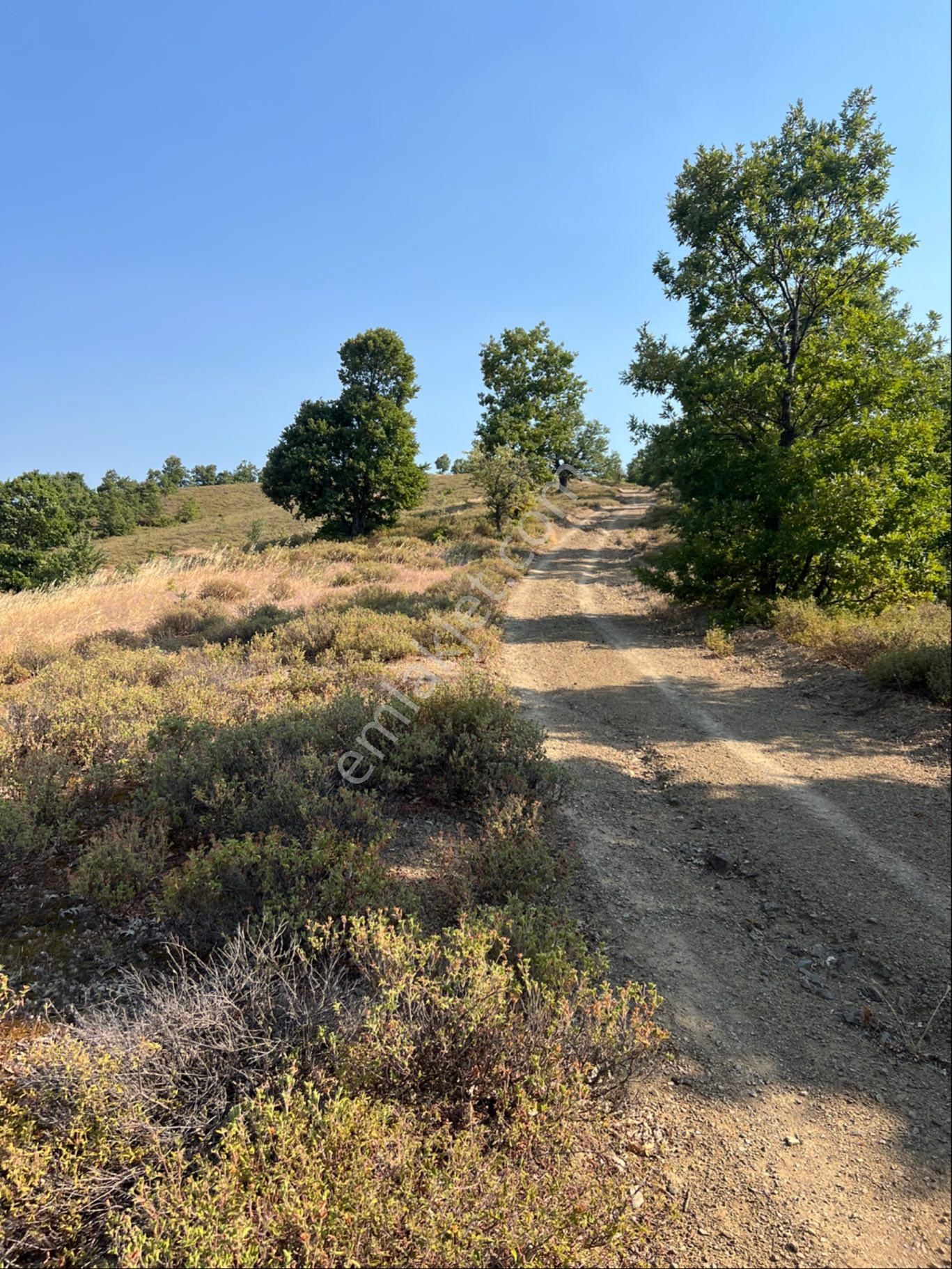Çanakkale Biga Ilıcabaşı Köyü Satılık 3 Adet Tarla - Görsel 4