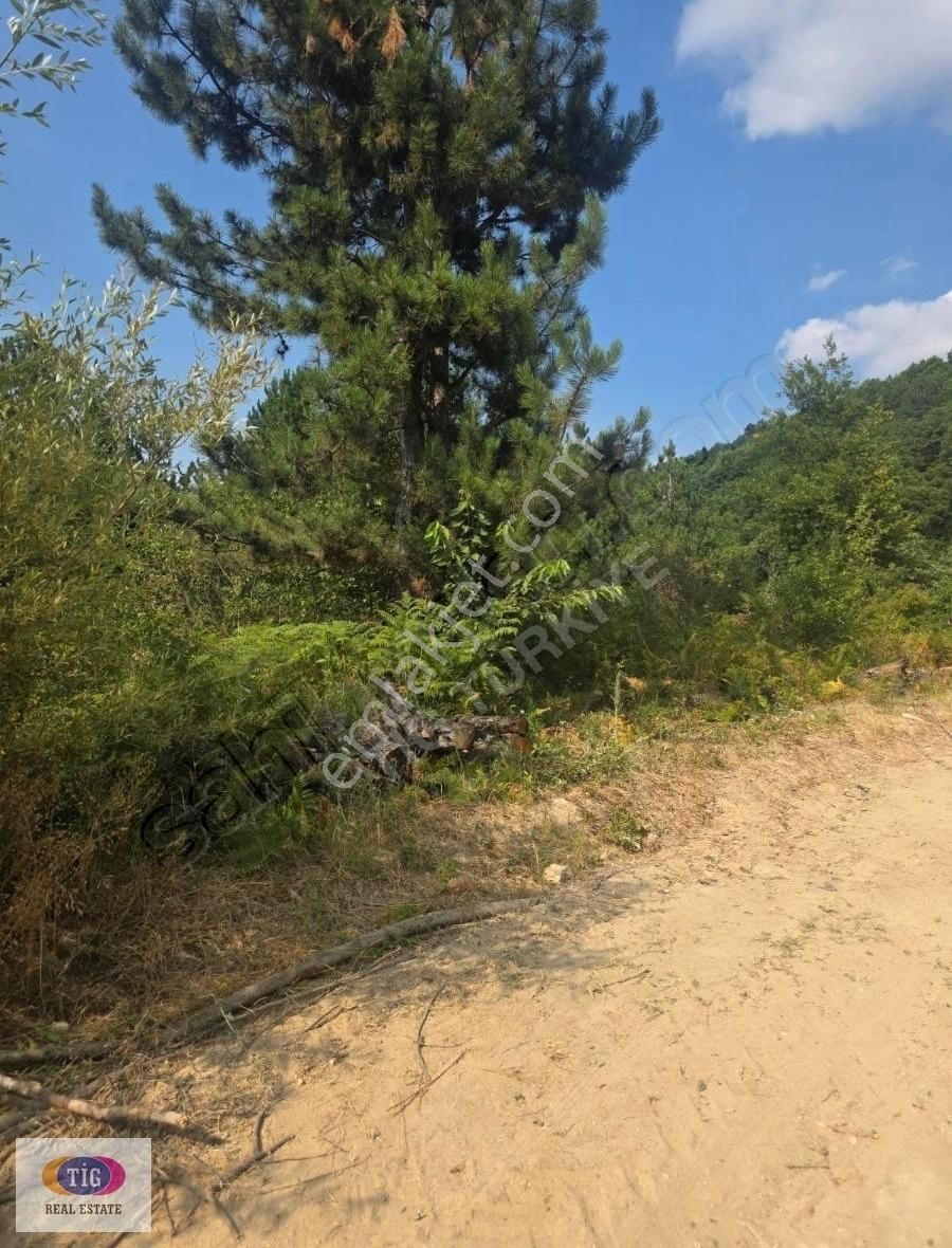 Bursa İnegöl Bahariye Satılık Tarla - Görsel 5