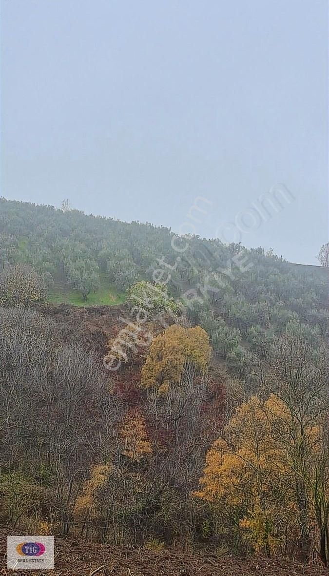 Tek İşim Gayrimenkul'den Osmangazi Seçköy' De Fırsat Tarla - Görsel 7