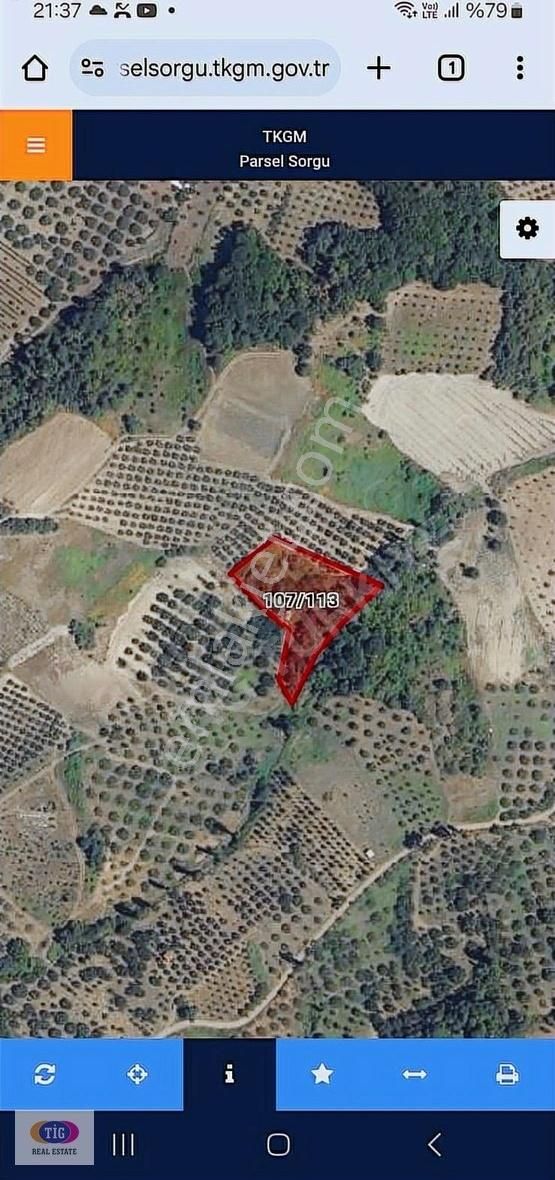 Tek İşim Gayrimenkul'den Osmangazi Seçköy' De Fırsat Tarla - Görsel 10