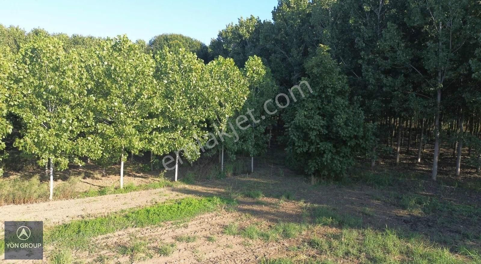 Yön Group'tan Vakıf'ta Satılık 7620m2 Arsa - Görsel 10