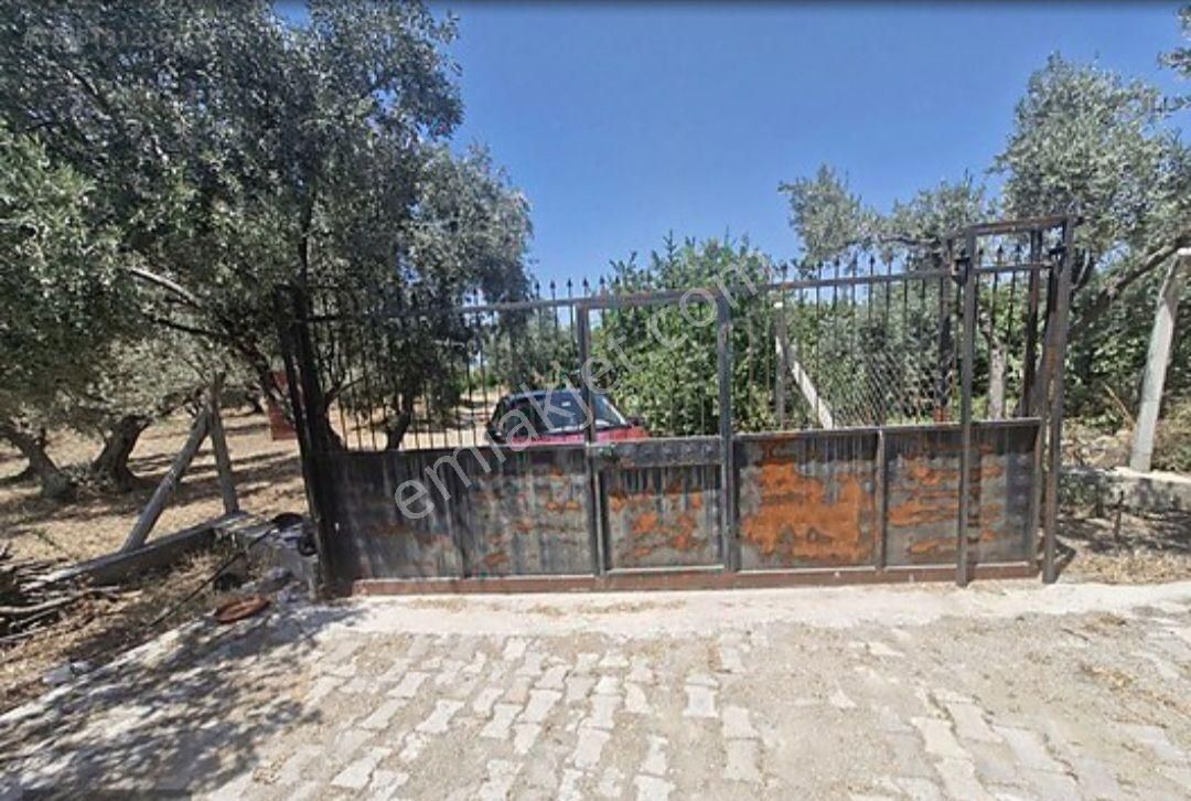 Sıfır Ev Düz Arazi - Görsel 9