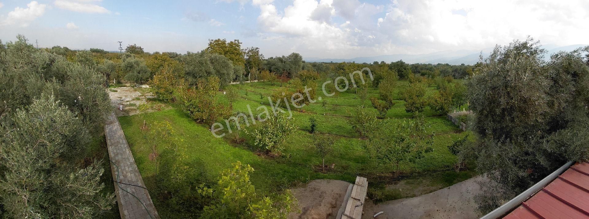 Sıfır Ev Düz Arazi - Görsel 20