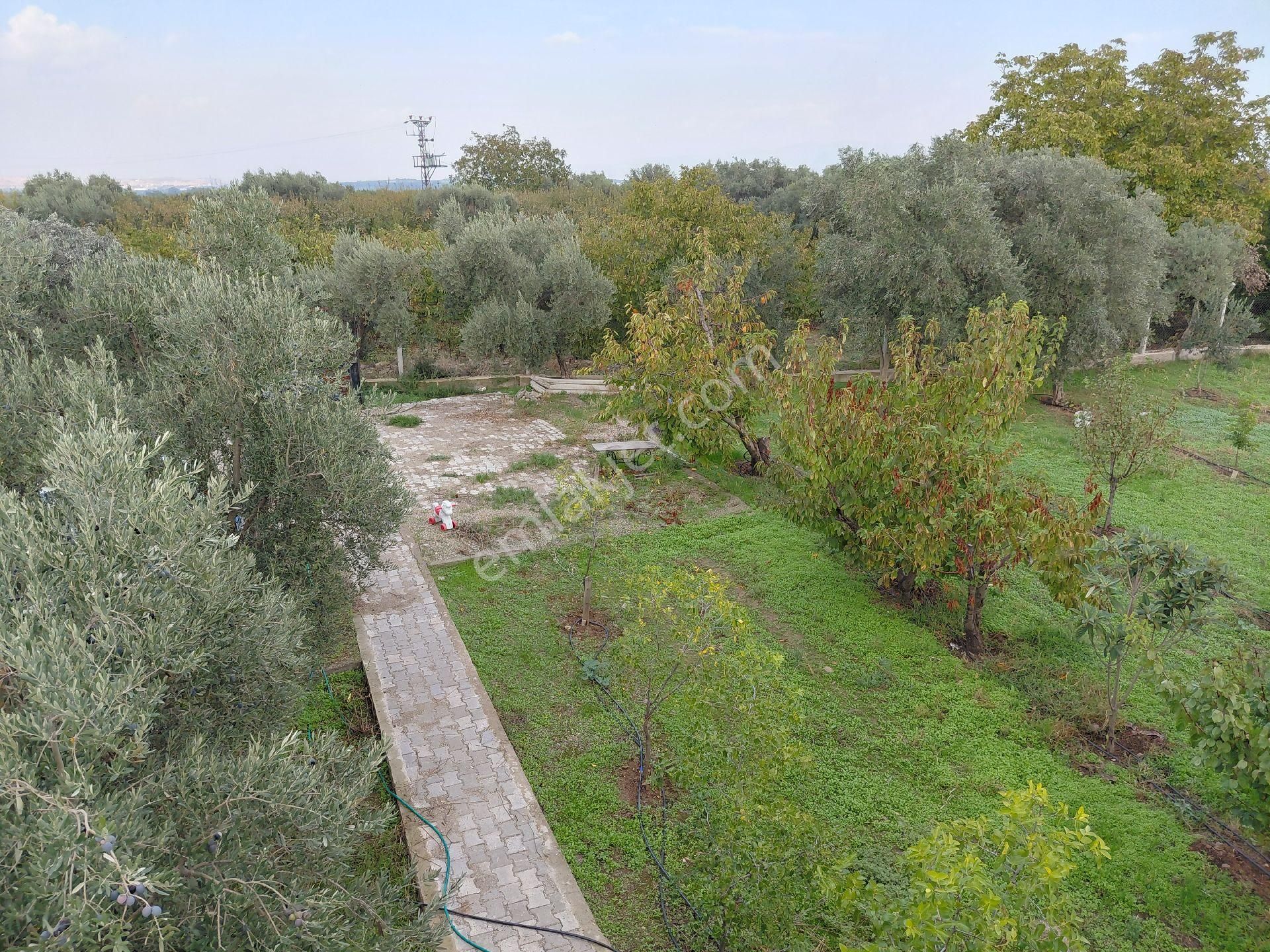 Sıfır Ev Düz Arazi - Görsel 21