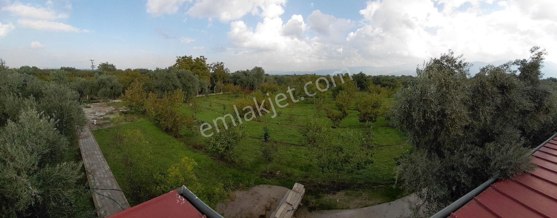 Sıfır Ev Düz Arazi - Görsel 22