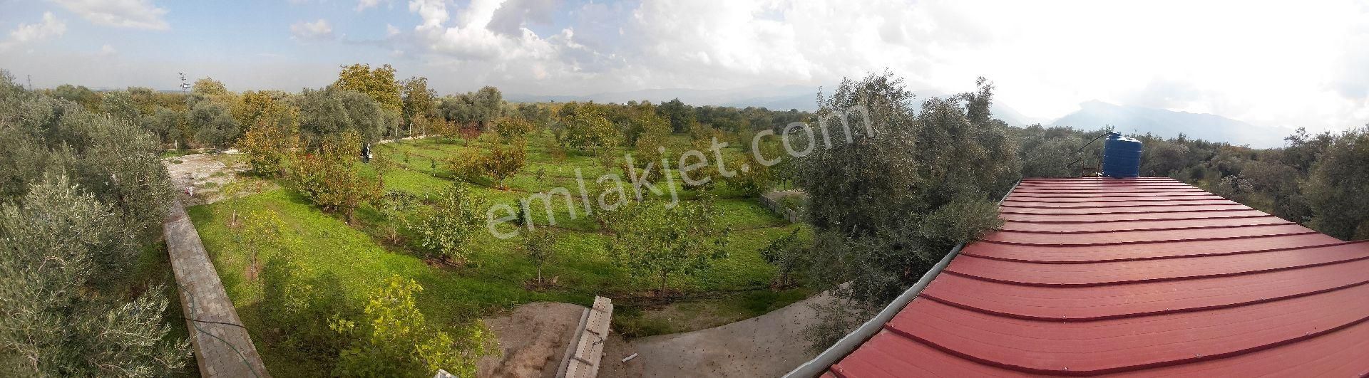 Sıfır Ev Düz Arazi - Görsel 18