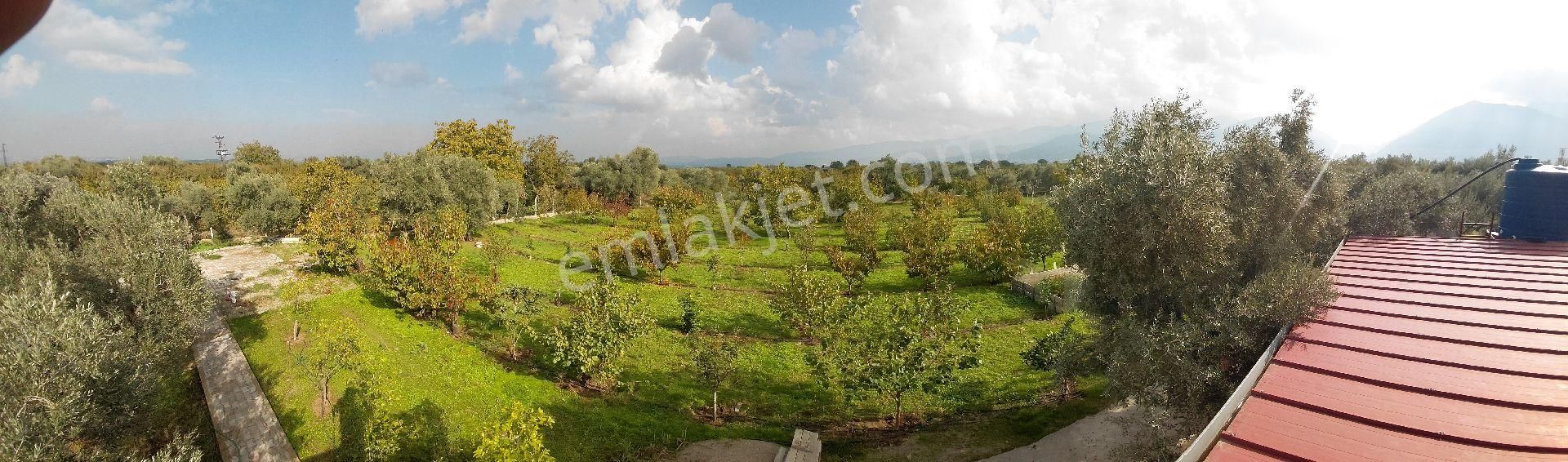 Sıfır Ev Düz Arazi - Görsel 19