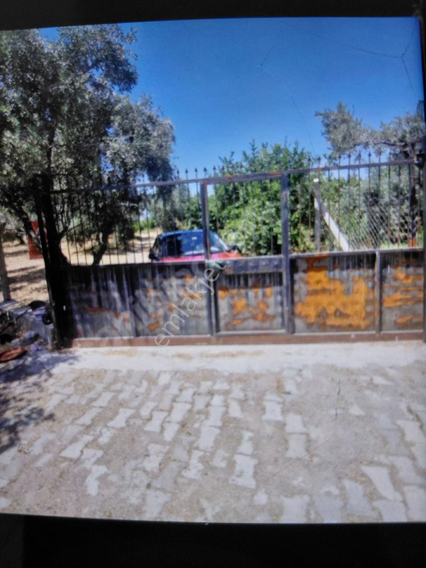 Sıfır Ev Düz Arazi - Görsel 17