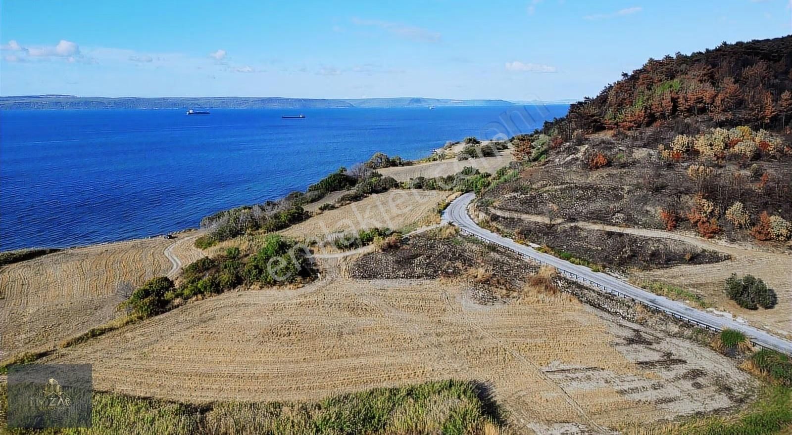 Deniz Manzaralı & Asfalt Yola Cephe Satılık Arsa - Görsel 3