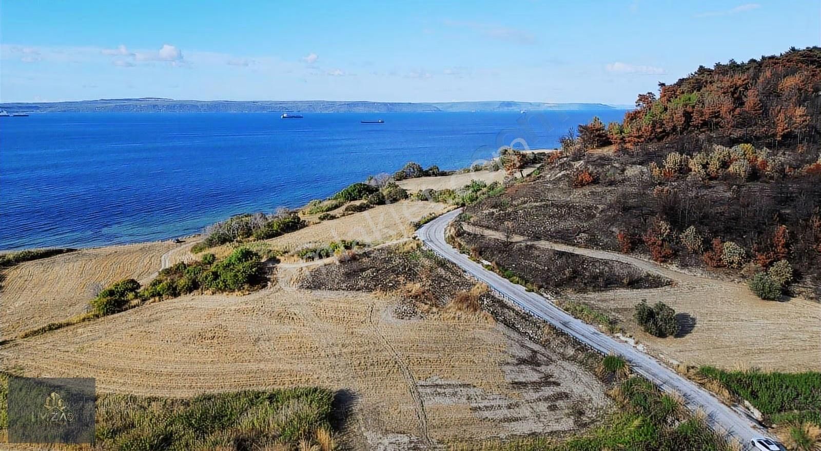 Deniz Manzaralı & Asfalt Yola Cephe Satılık Arsa - Görsel 20