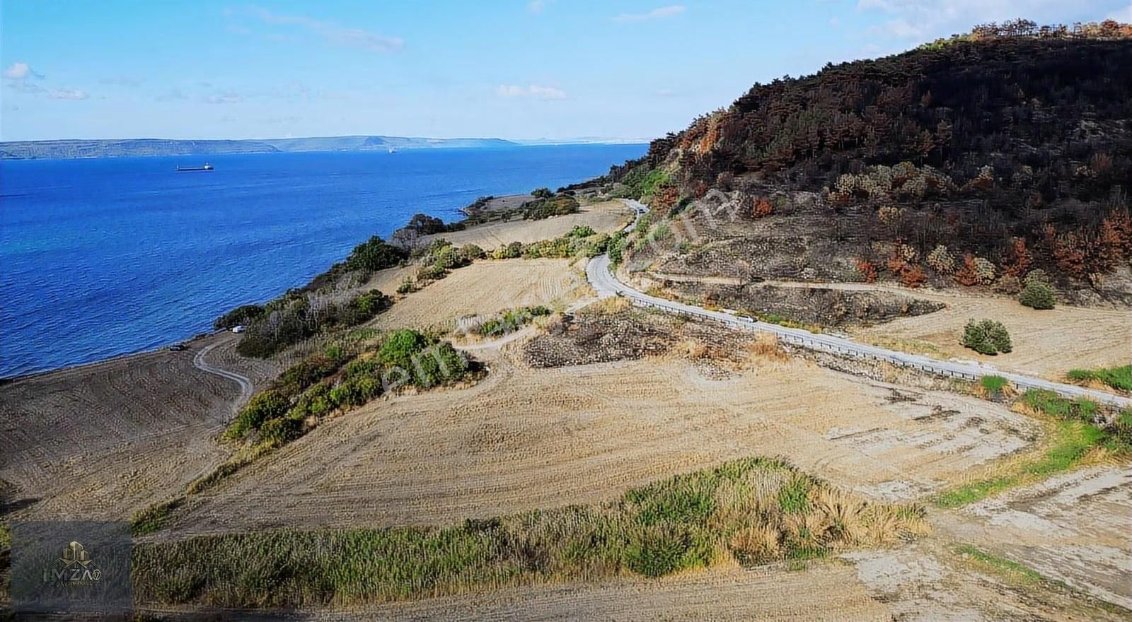 Deniz Manzaralı & Asfalt Yola Cephe Satılık Arsa - Görsel 5
