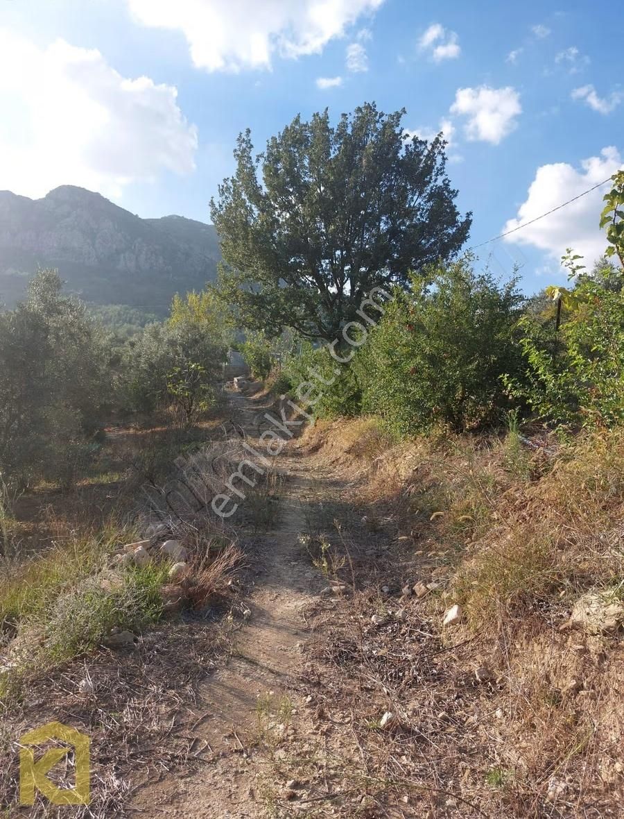 Koyuncuoğlu'ndan Hurma Ve Zeytin Ağaçlı Yatırımlık Bahçe - Görsel 9