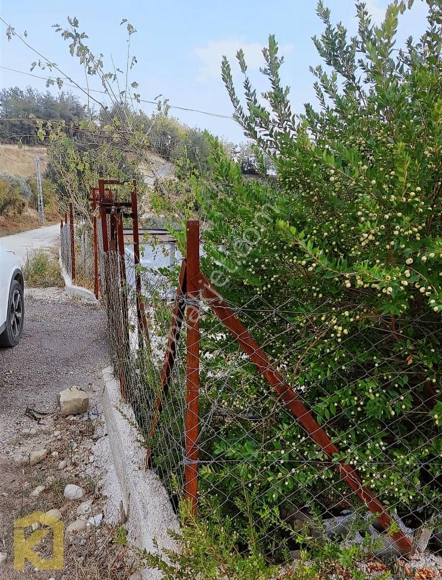 Koyuncuoğlu'ndan Hurma Ve Zeytin Ağaçlı Yatırımlık Bahçe - Görsel 23