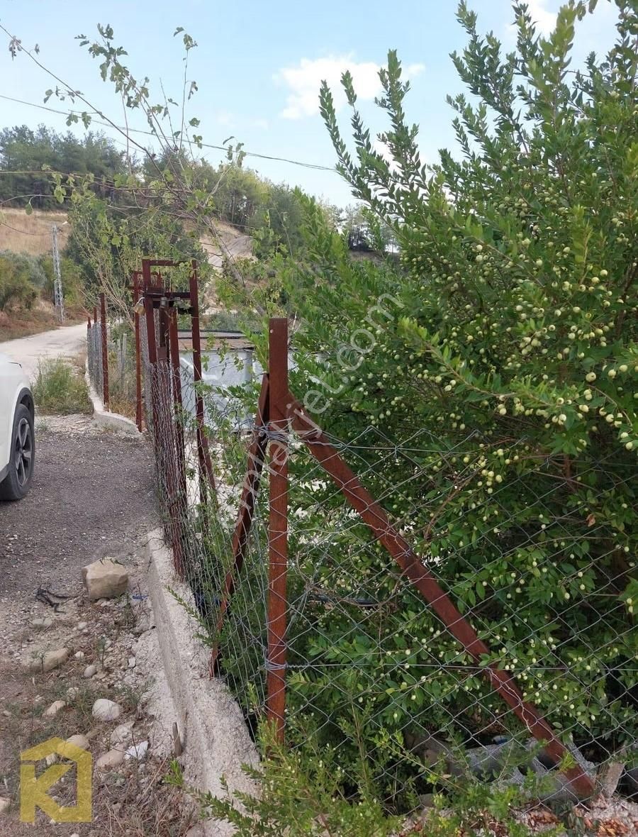 Koyuncuoğlu'ndan Hurma Ve Zeytin Ağaçlı Yatırımlık Bahçe - Görsel 2