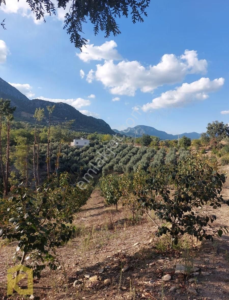 Koyuncuoğlu'ndan Hurma Ve Zeytin Ağaçlı Yatırımlık Bahçe - Görsel 8