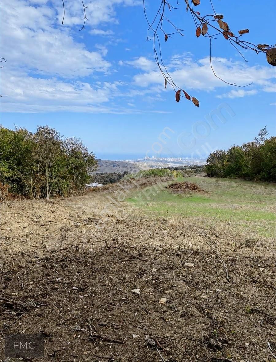 Fmc Gayrimenkul'den Deniz Manzaralı Bungolova Uygun Fırsat Tarla