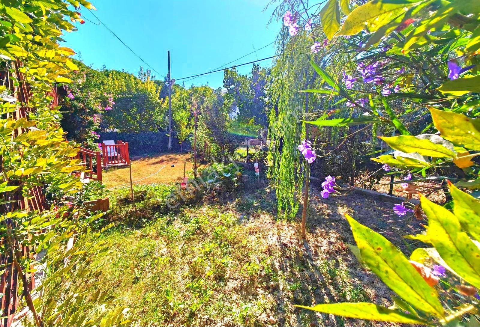 Kuşadasında Plaja 200 Mt.avm'ye Çok Yakın Özel Havuzlu Geniş Bahçeli 4+1 Villa - Görsel 7