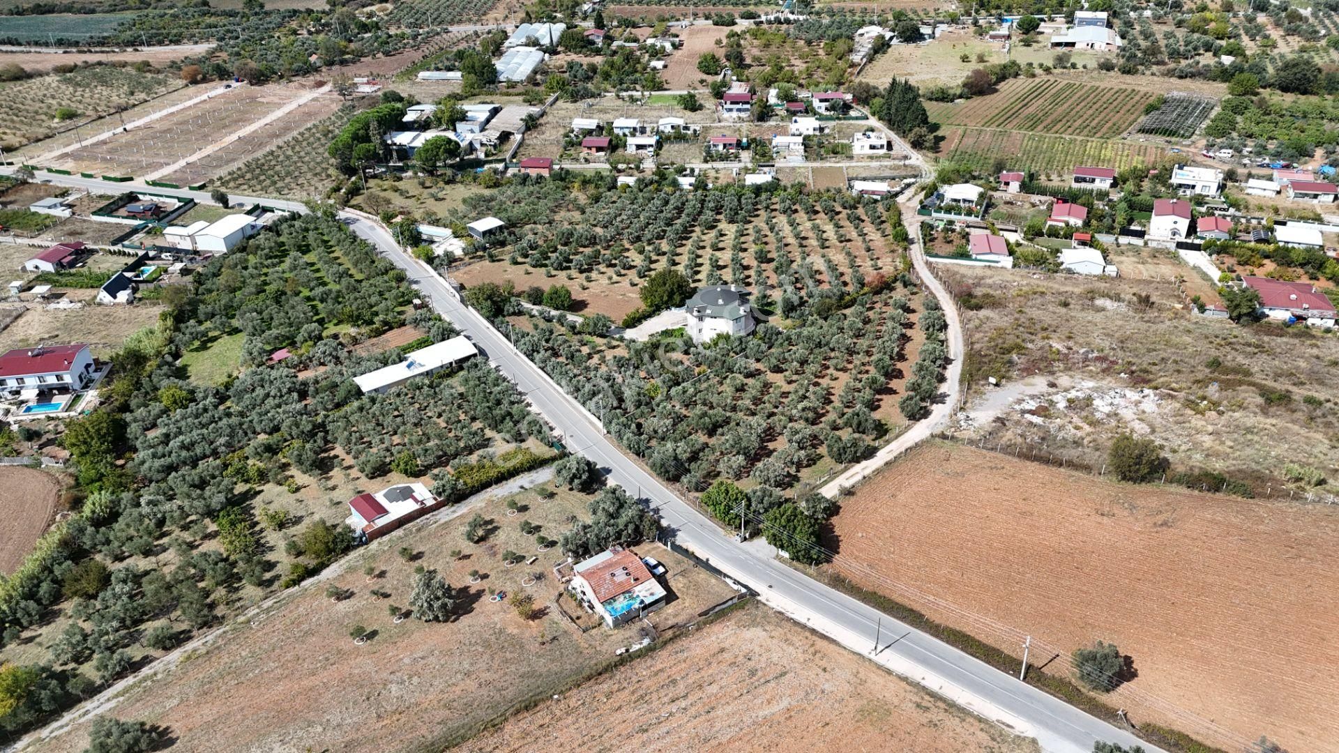 Torbalı Demircide 400 M2 Hisse Tapulu Köşe Arsa Ulaşıma Yakın Elektrik Su Var İzmir - Görsel 6