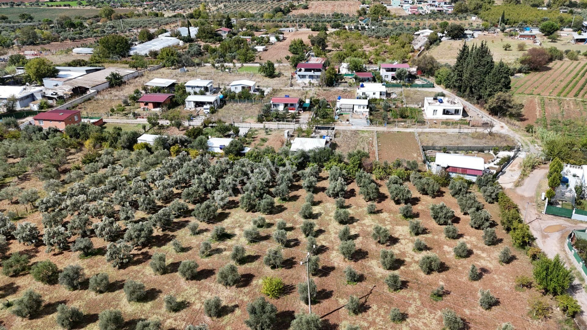 Torbalı Demircide 400 M2 Hisse Tapulu Köşe Arsa Ulaşıma Yakın Elektrik Su Var İzmir - Görsel 35