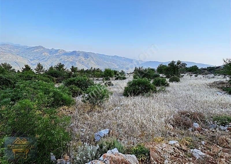 Alanya Yaylakonak Mahallesinde Satılık Tarla