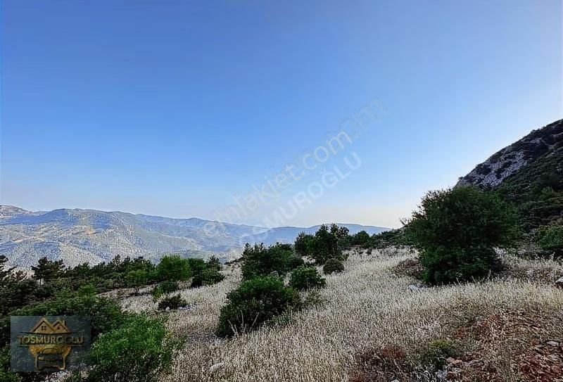 Alanya Yaylakonak Mahallesinde Satılık Tarla - Görsel 2