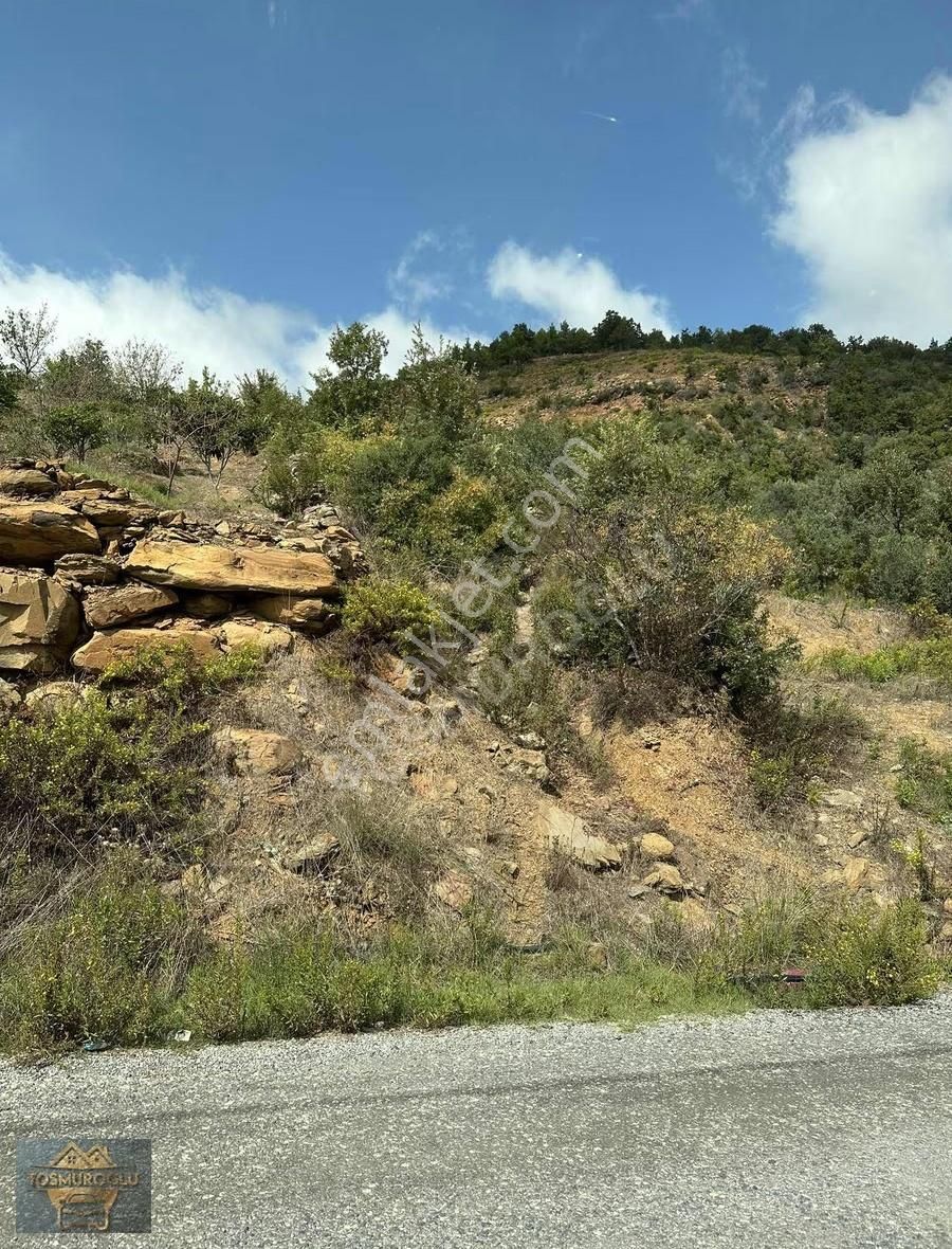 Alanya Çamlıca Mahallesinde Satılık Tarla