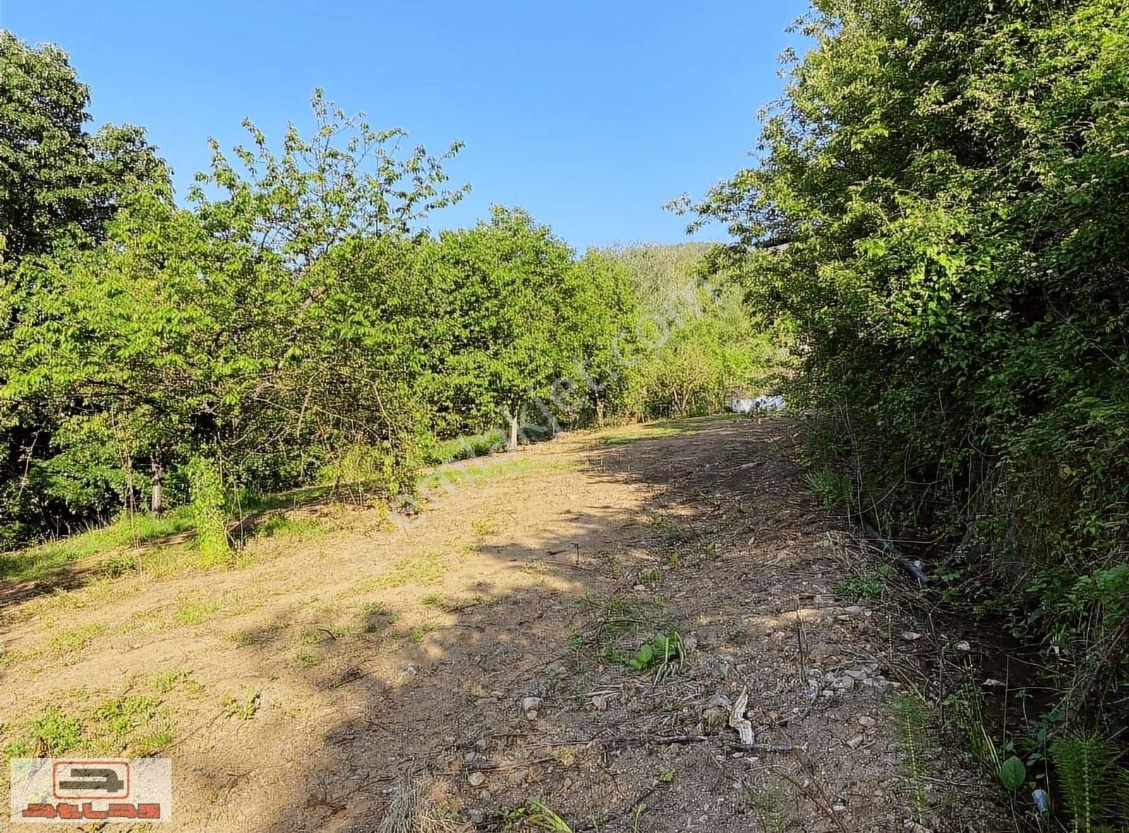 Atlas Emlak Kartepe Balaban Köyü Satılık Tarla - Görsel 9
