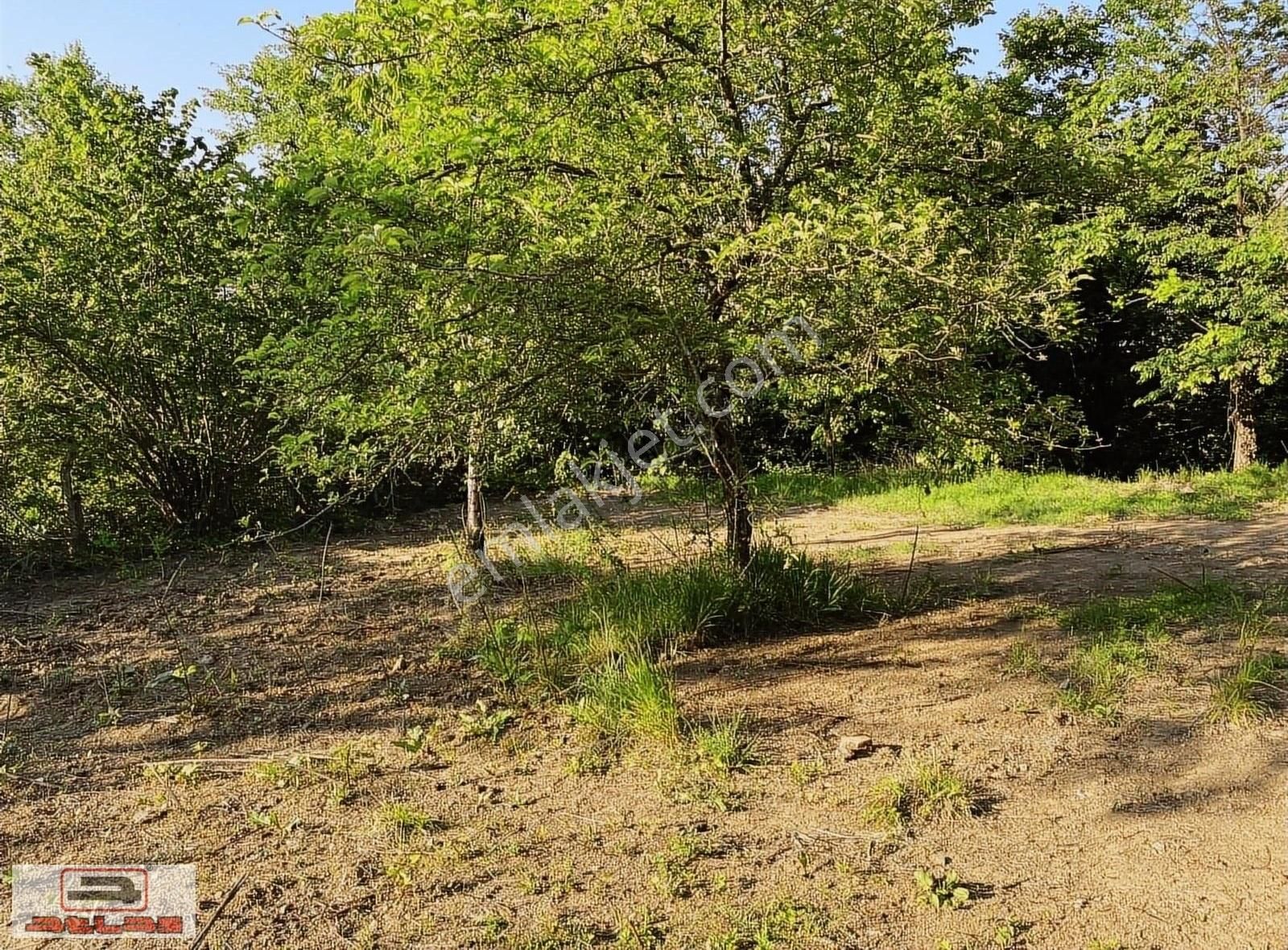Atlas Emlak Kartepe Balaban Köyü Satılık Tarla - Görsel 7