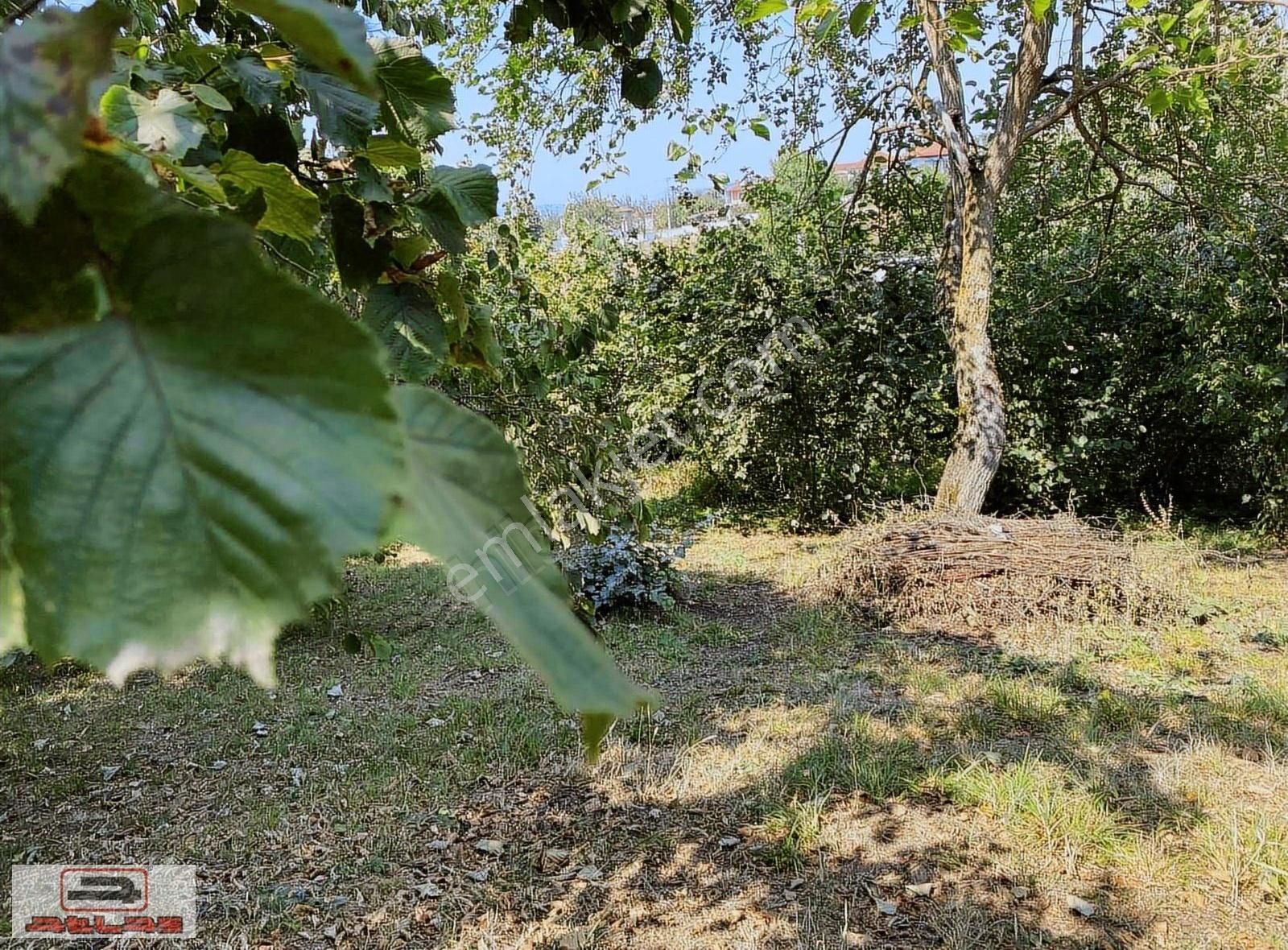 Atlas Emlak Kartepe Nusretiye Satılık Arsa - Görsel 21