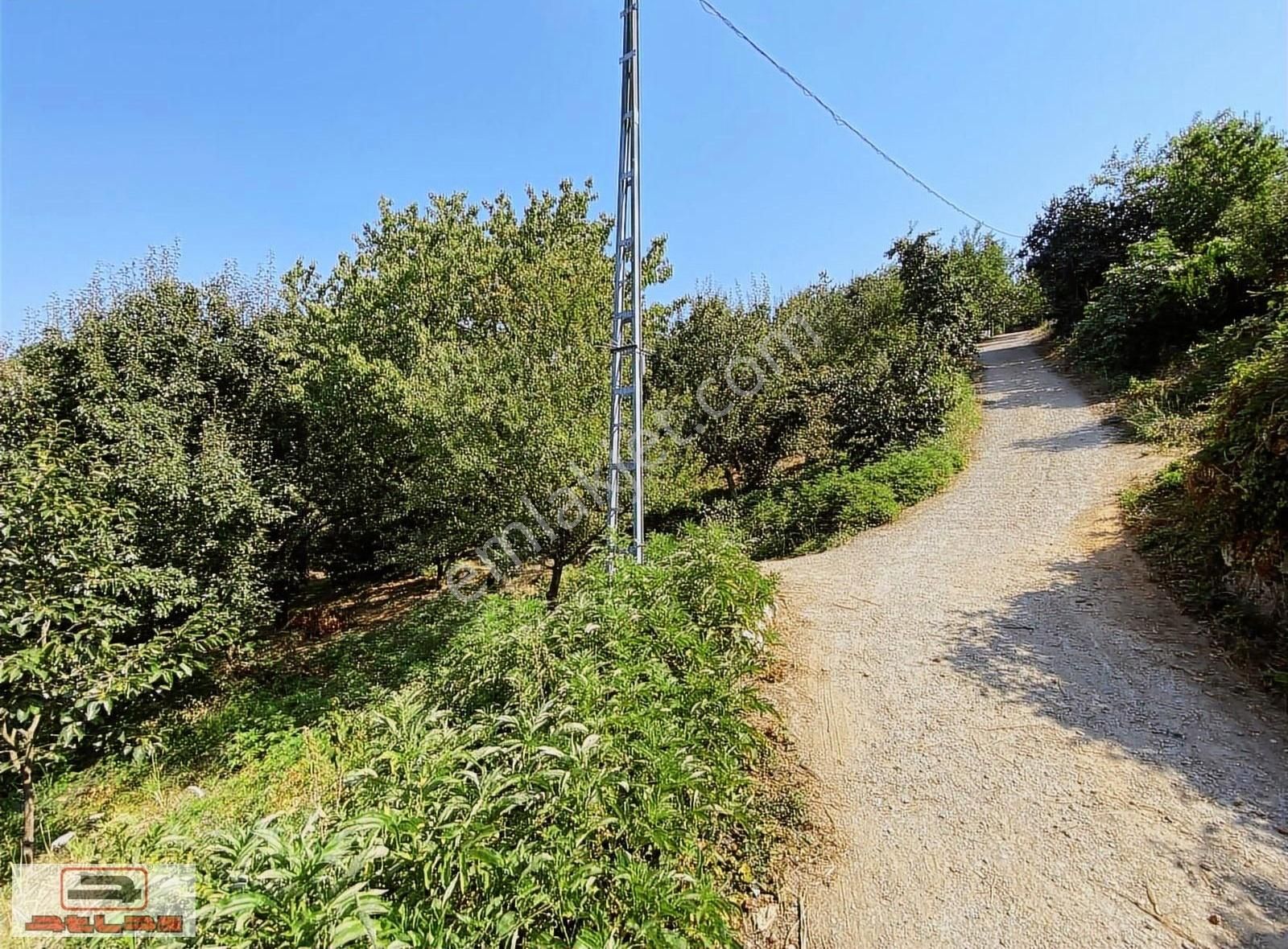 Atlas Emlak Kartepe Nusretiye Satılık Arsa - Görsel 4