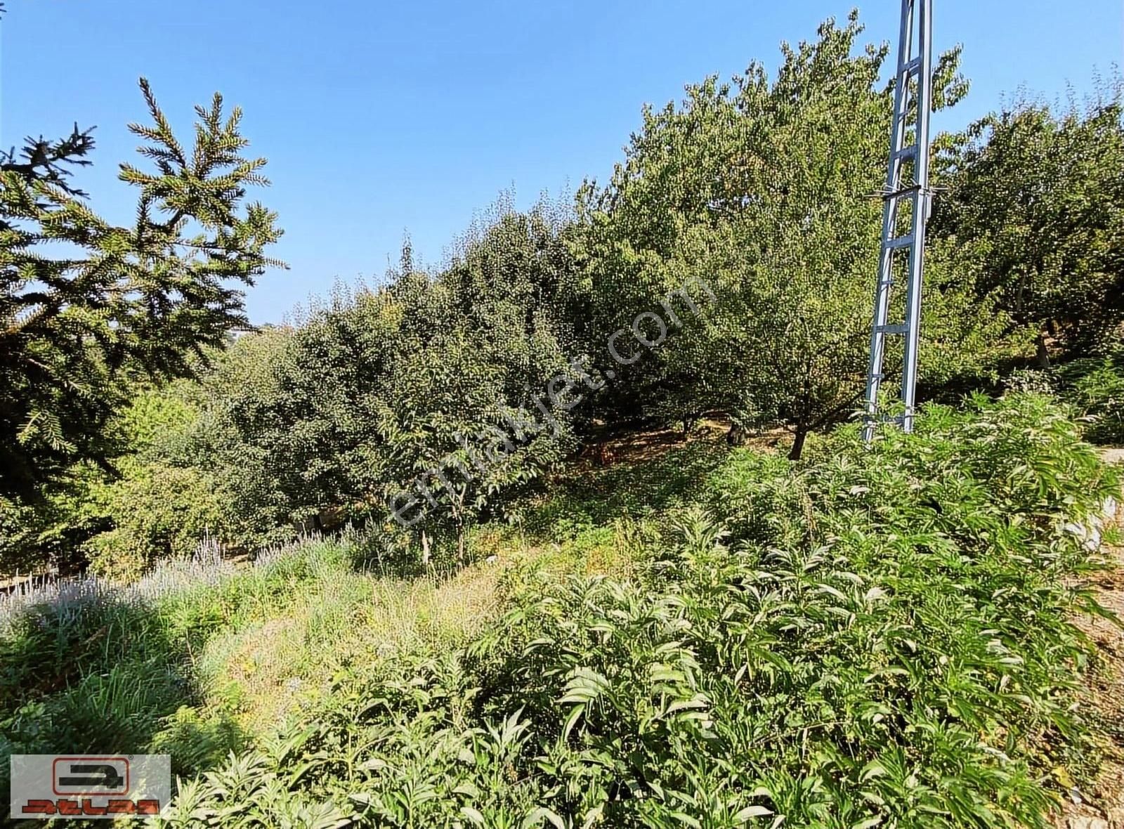 Atlas Emlak Kartepe Nusretiye Satılık Arsa - Görsel 25