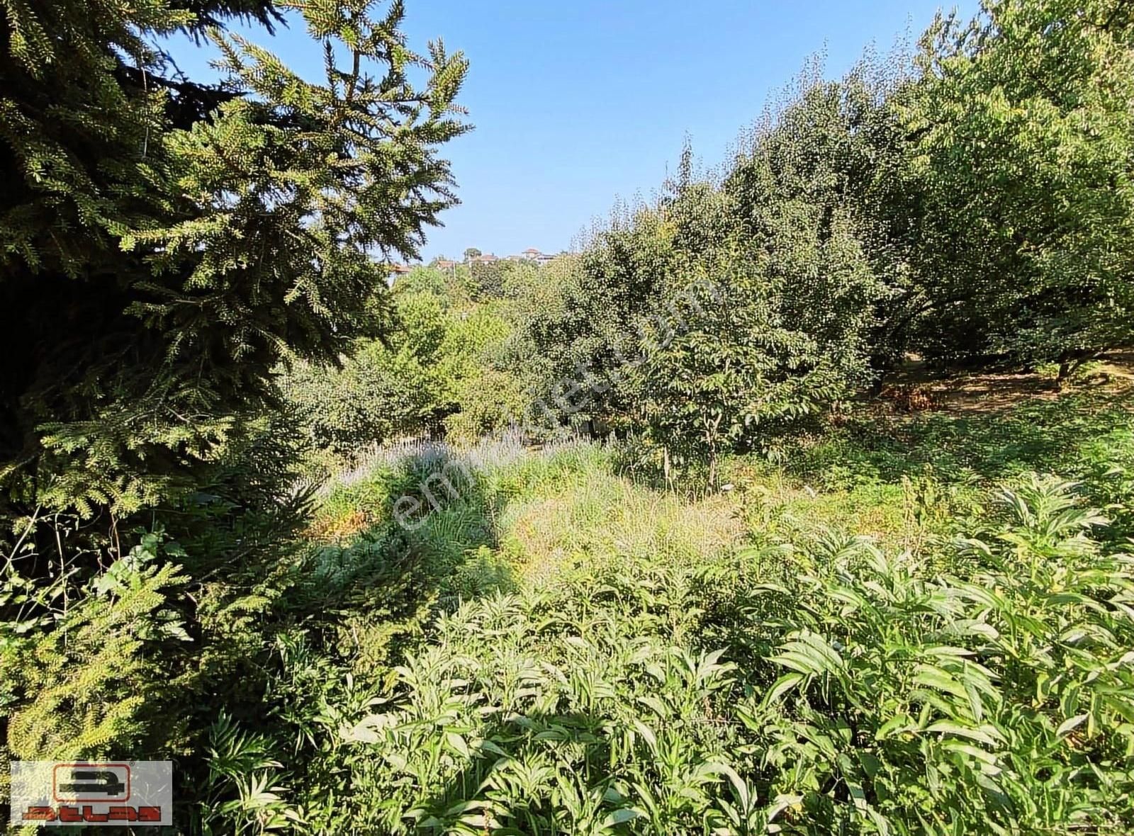 Atlas Emlak Kartepe Nusretiye Satılık Arsa - Görsel 5