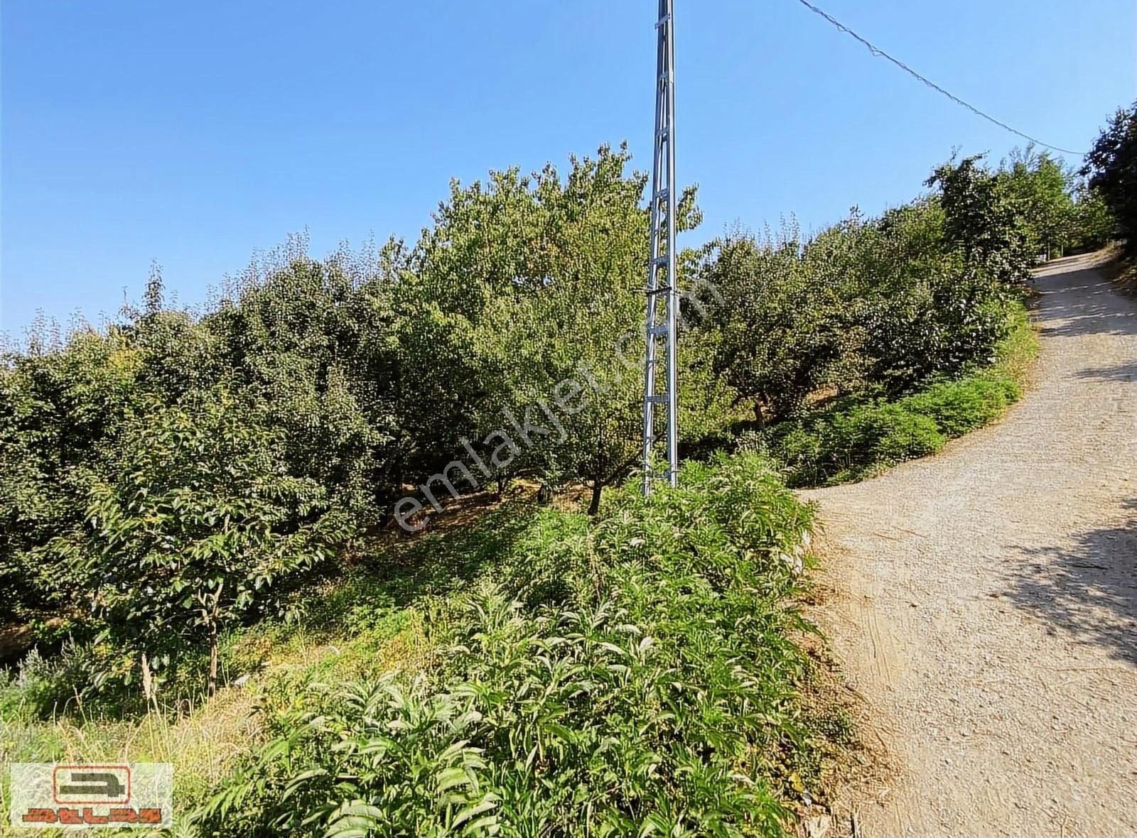 Atlas Emlak Kartepe Nusretiye Satılık Arsa - Görsel 31