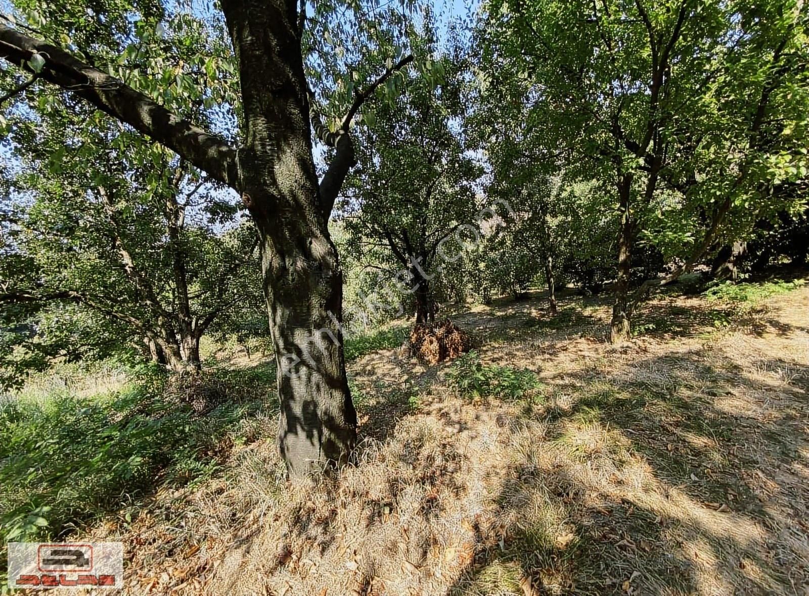 Atlas Emlak Kartepe Nusretiye Satılık Arsa - Görsel 12